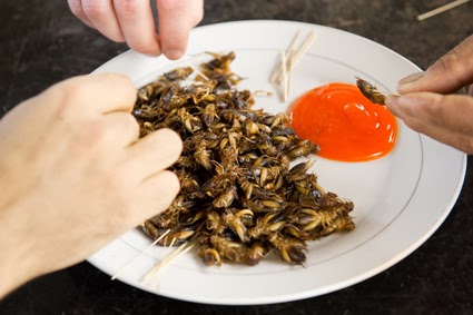 Fried Crickets Meal wit sauce