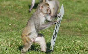 1461828_1424878961078068_1528616966_n